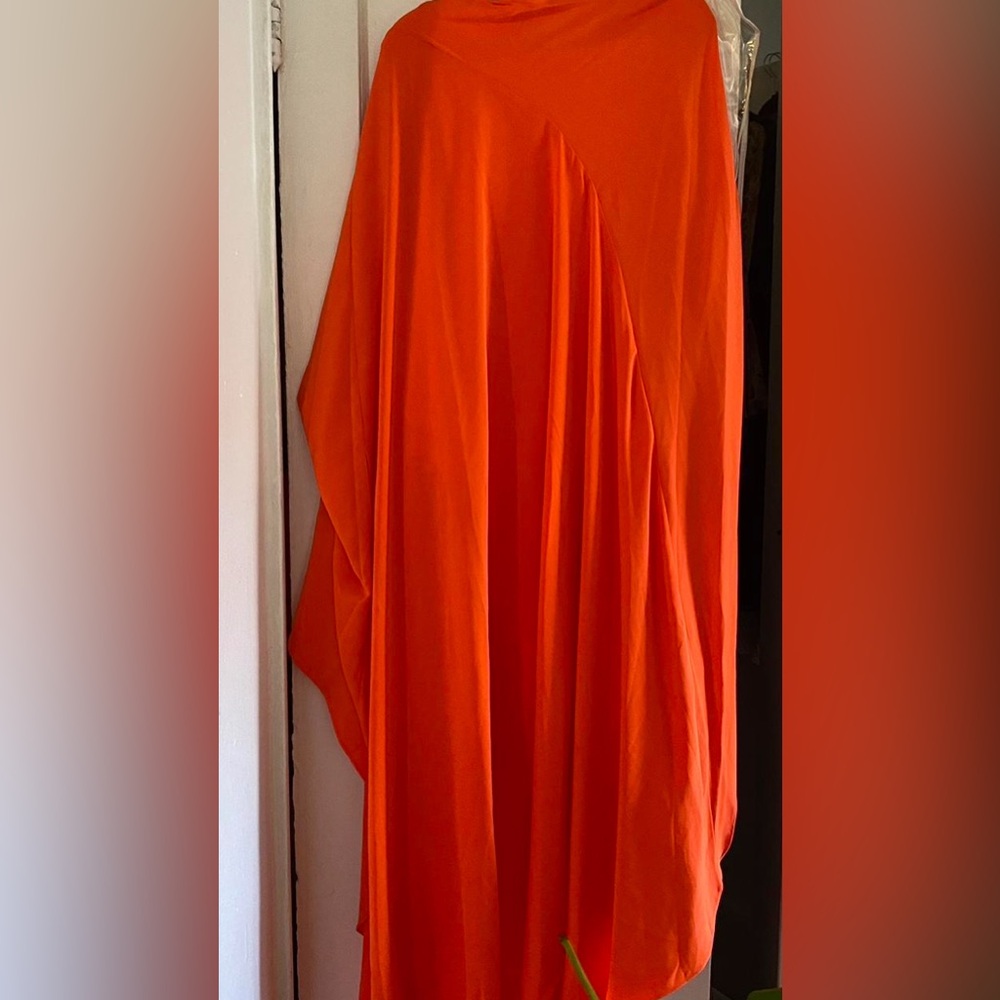 Hanifa Orange One-Shoulder Backless Gown - Picture 2 of 3